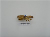 藏品(中國蛾類)的圖片